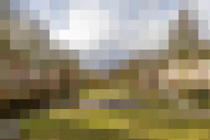 Kleiwerd 78 Groningen thumbnail 39