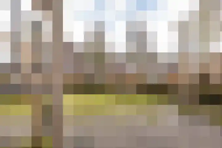 Kleiwerd 78 Groningen thumbnail 42