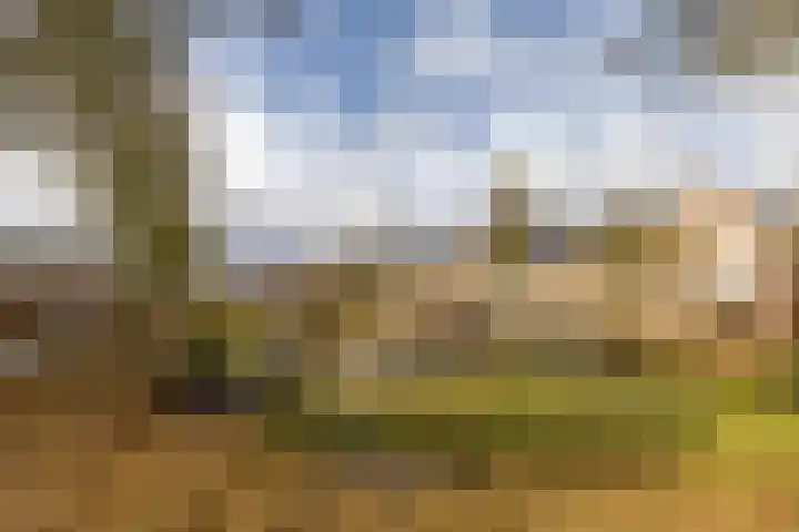 Kleiwerd 78 Groningen thumbnail 43