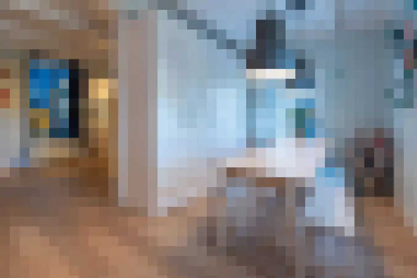Kleizuwe 5 Vreeland thumbnail 15