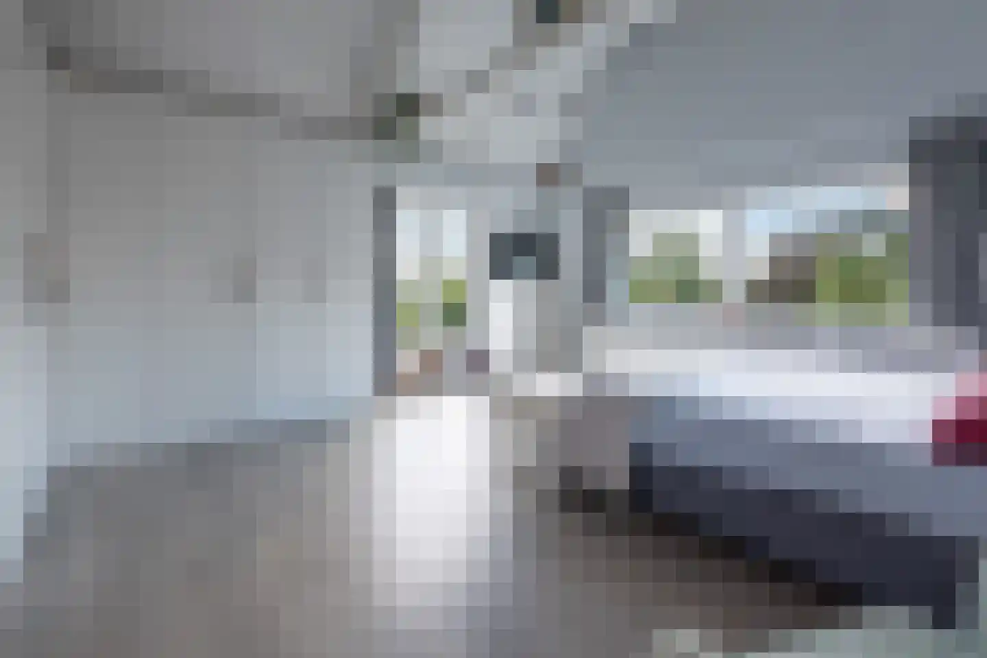 Kleizuwe 5 Vreeland thumbnail 22