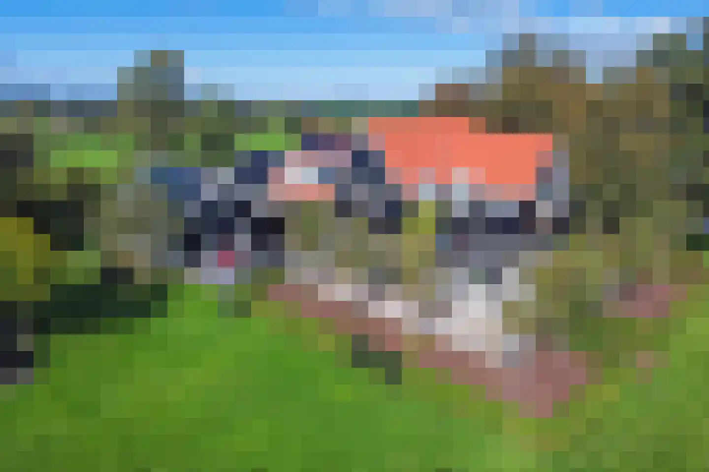 Kleizuwe 5 Vreeland thumbnail 28