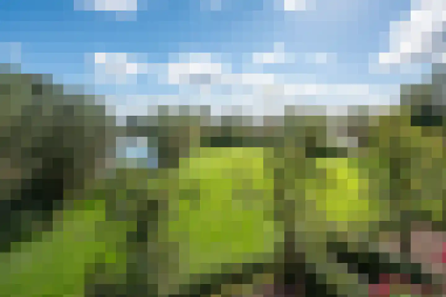 Kleizuwe 5 Vreeland thumbnail 29