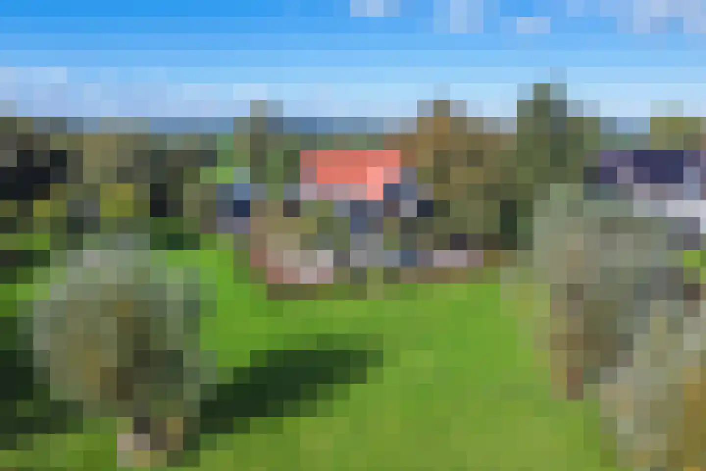 Kleizuwe 5 Vreeland thumbnail 30