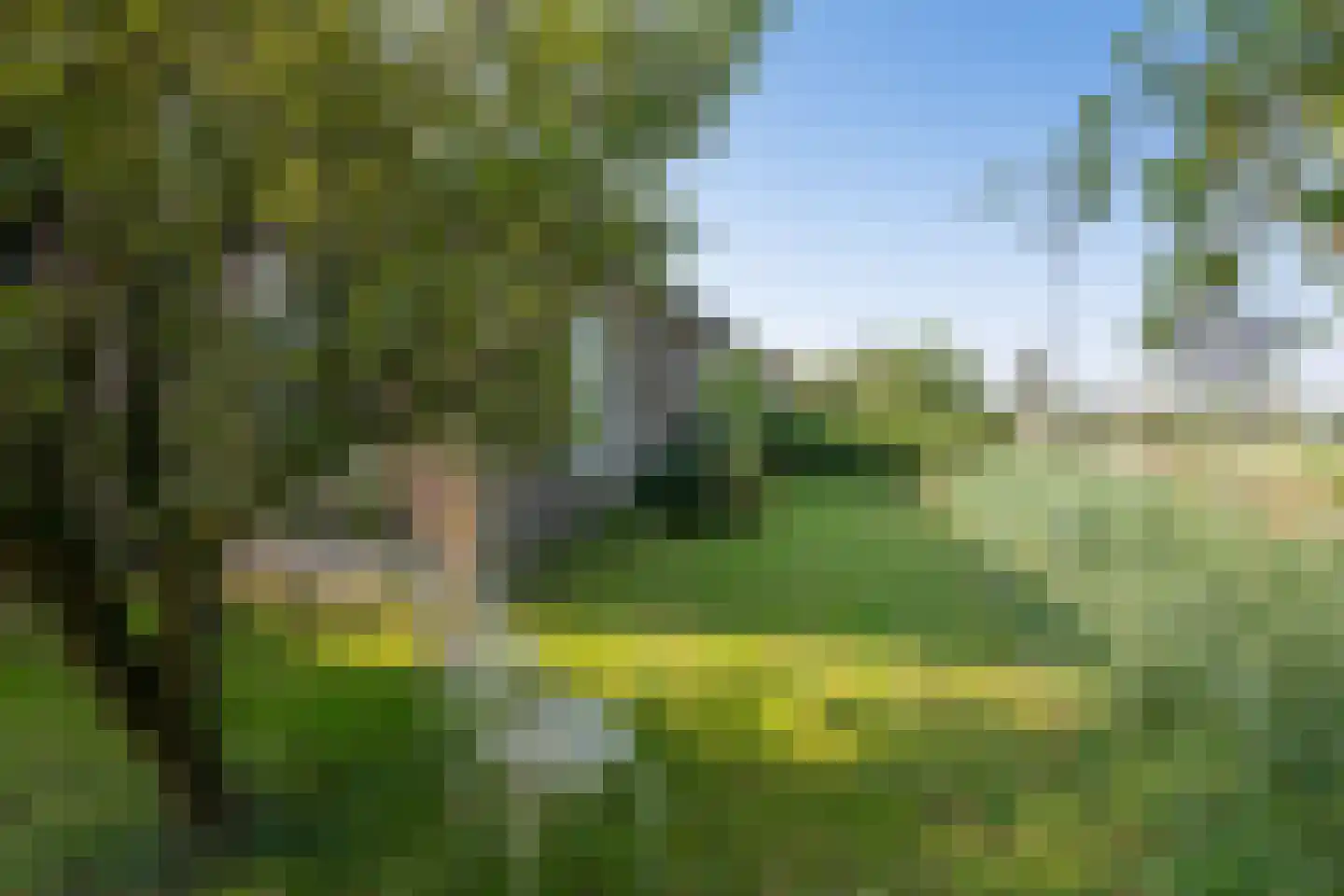 Kleizuwe 8 Vreeland thumbnail 12