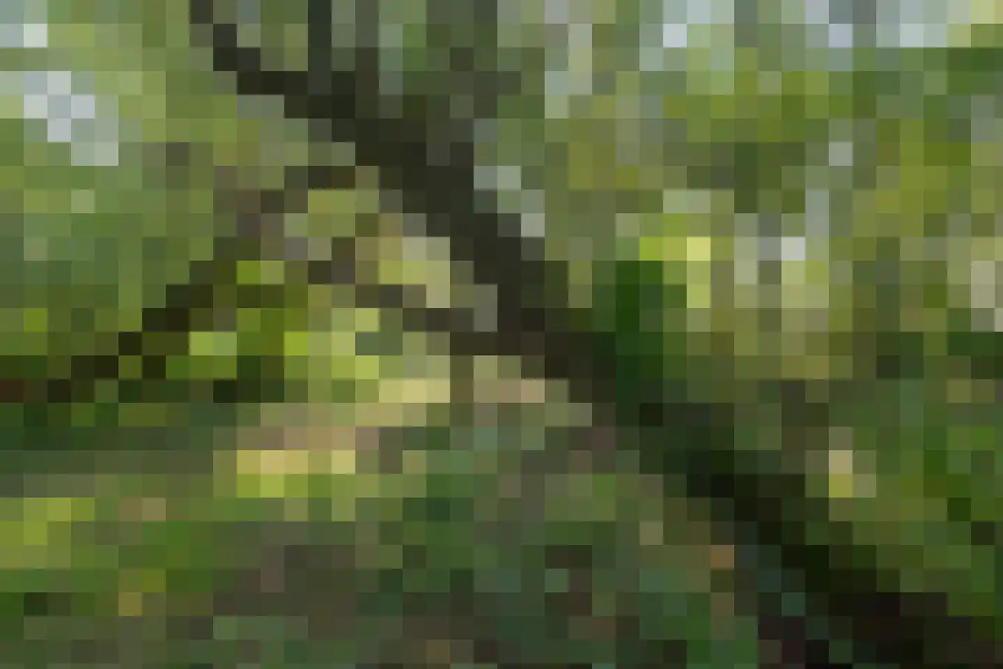 Kleizuwe 8 Vreeland thumbnail 16