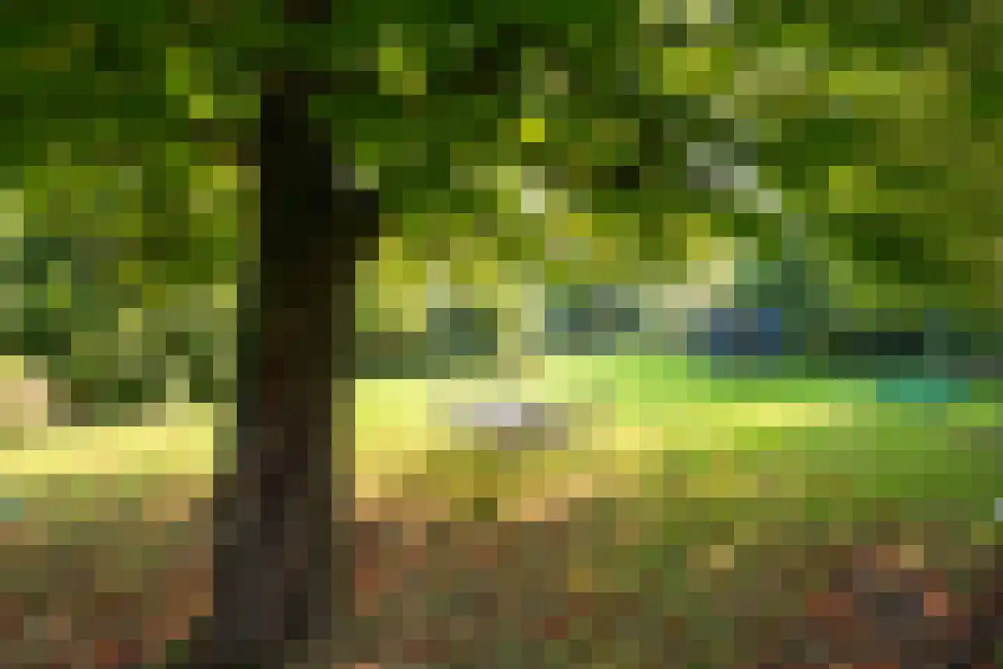 Kleizuwe 8 Vreeland thumbnail 16