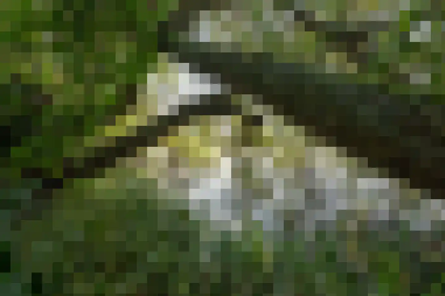 Kleizuwe 8 Vreeland thumbnail 17