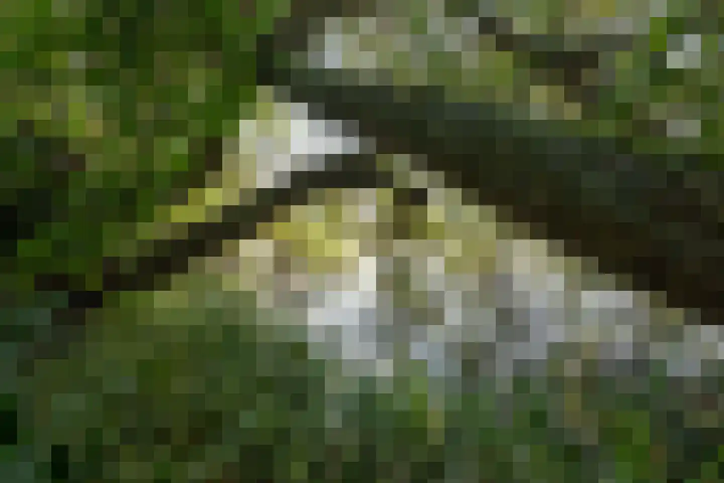 Kleizuwe 8 Vreeland thumbnail 18