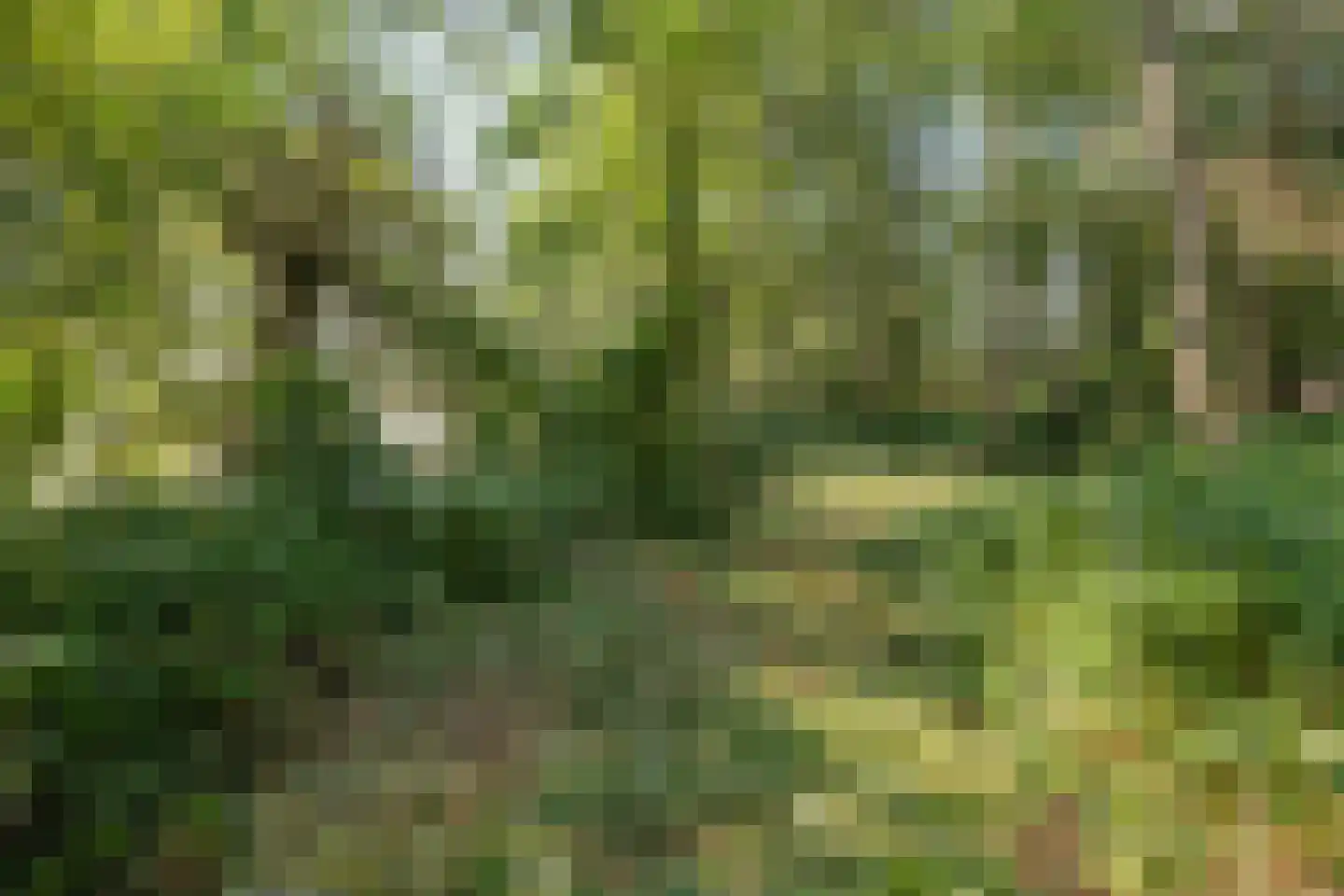 Kleizuwe 8 Vreeland thumbnail 18