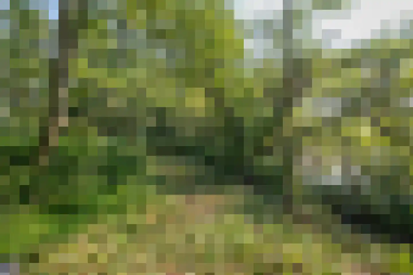 Kleizuwe 8 Vreeland thumbnail 19