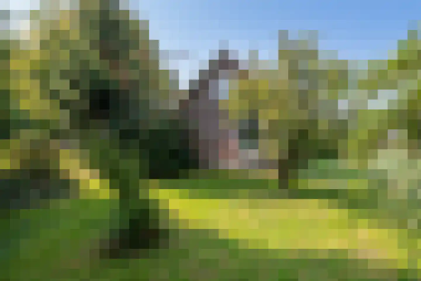 Kleizuwe 8 Vreeland thumbnail 5