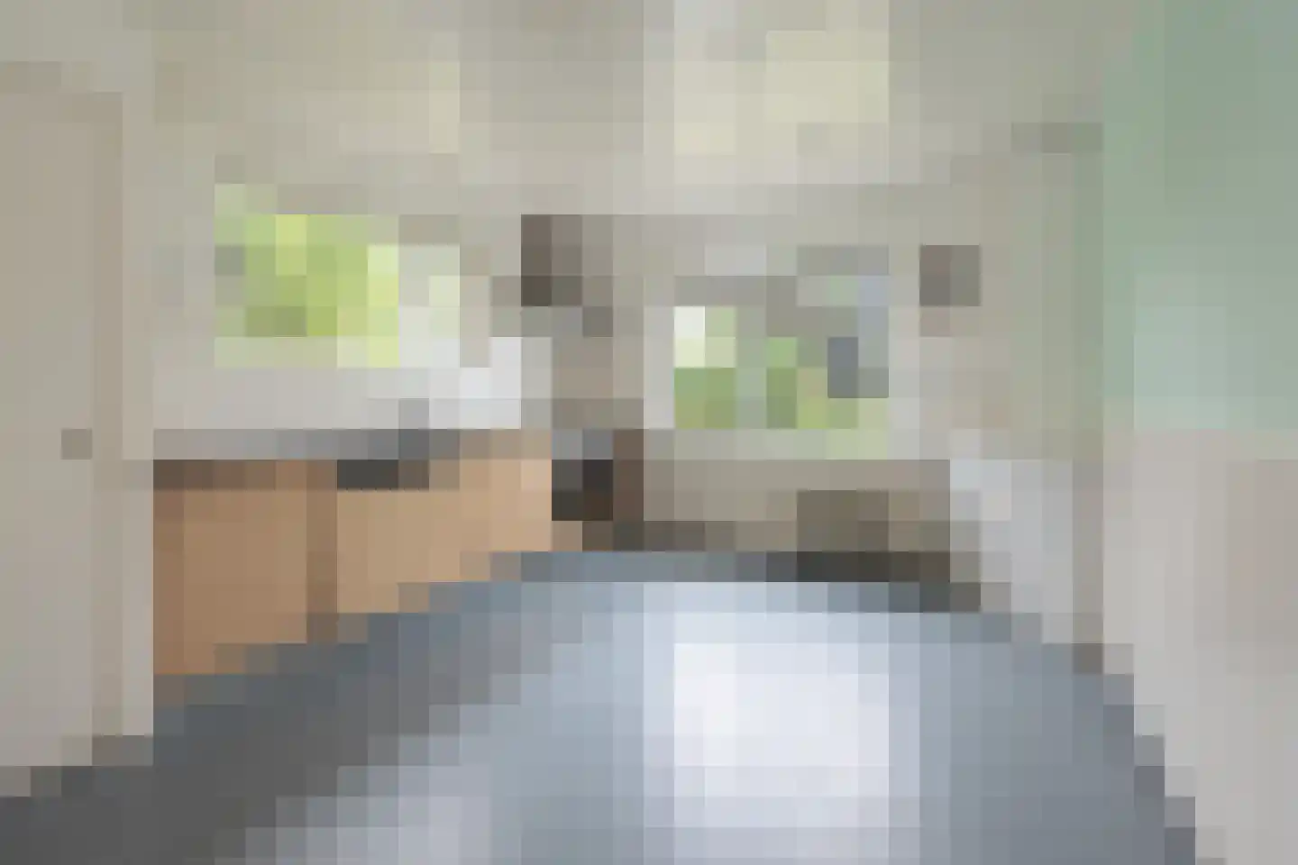 Kleizuwe 8 Vreeland thumbnail 8