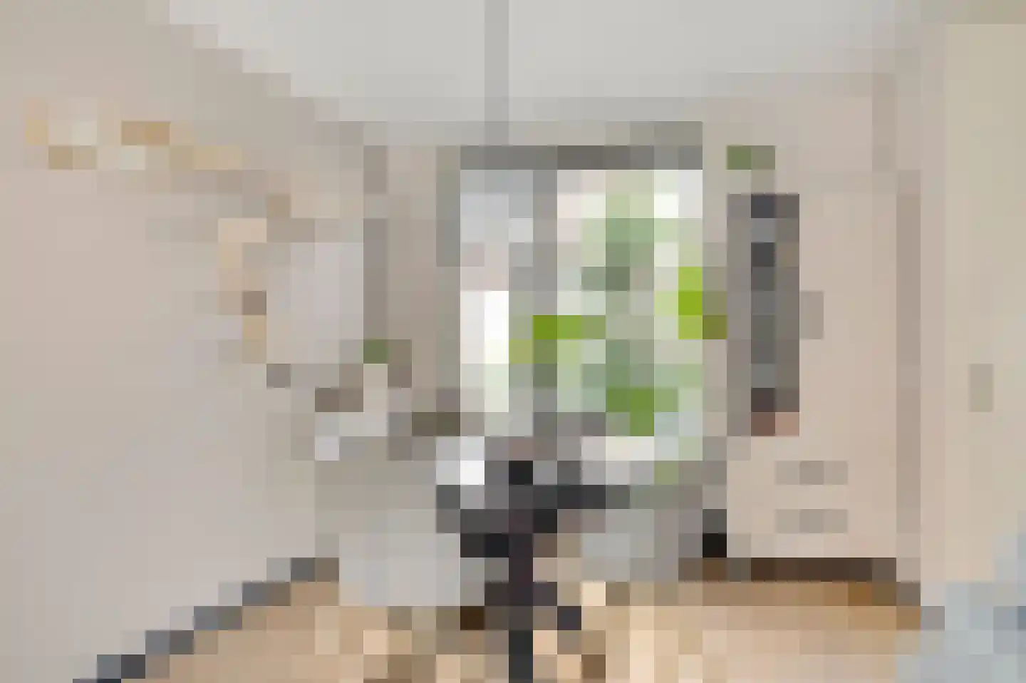 Klemmenstraat 32 Stramproy thumbnail 11