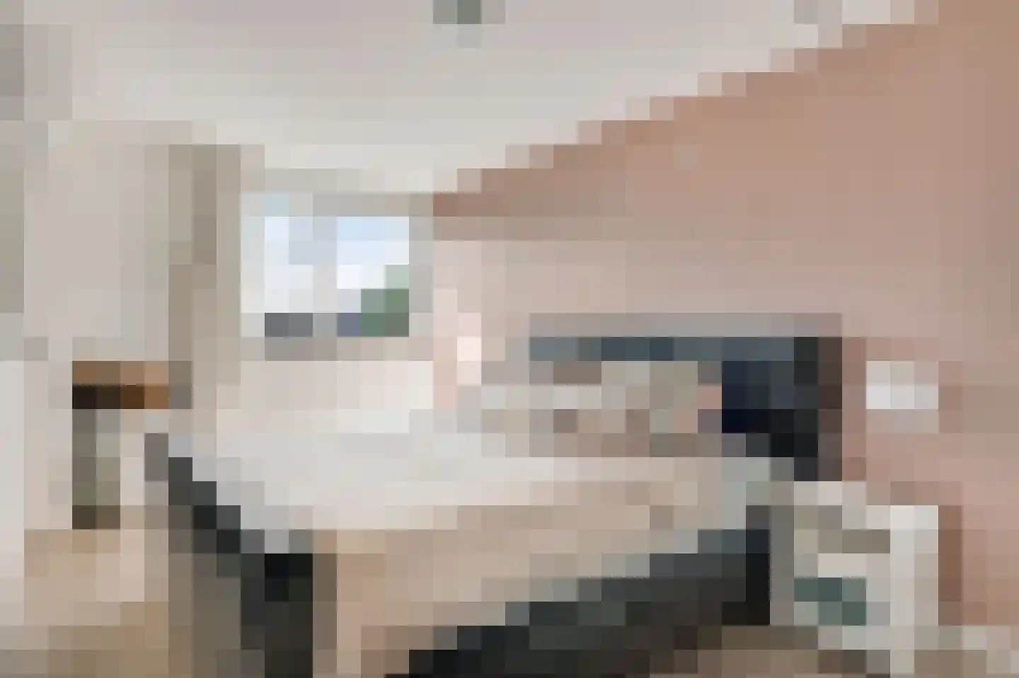 Klemmenstraat 32 Stramproy thumbnail 19