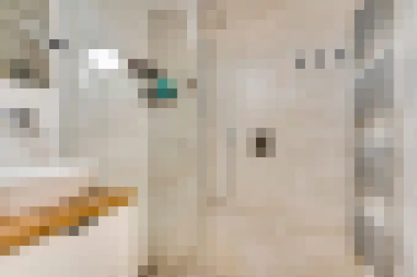 Klemmenstraat 32 Stramproy thumbnail 26
