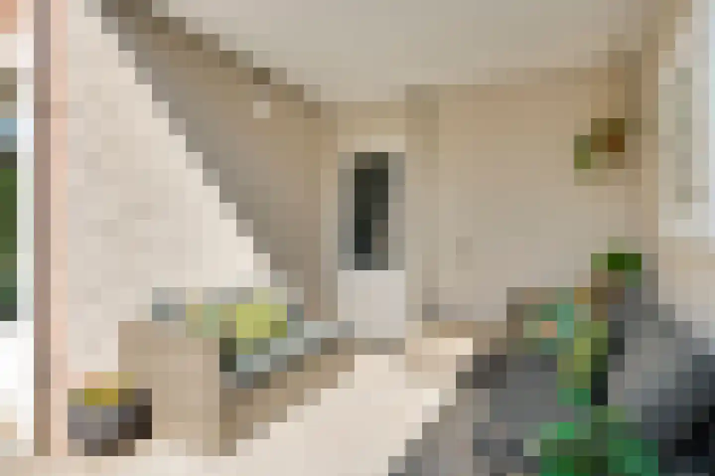 Klemmenstraat 32 Stramproy thumbnail 33