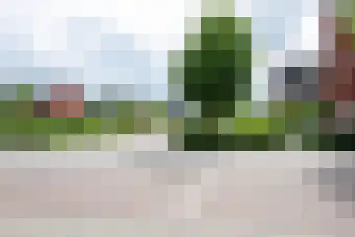 Klemstraat 21 Veenendaal thumbnail 10