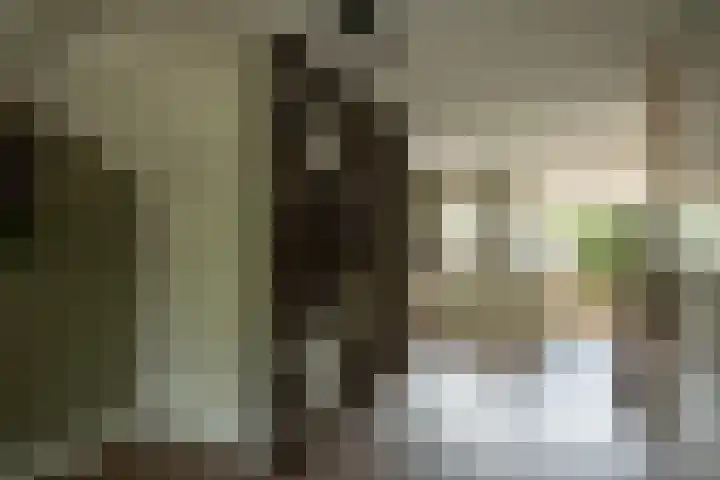 Klemstraat 21 Veenendaal thumbnail 12