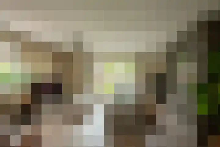 Klemstraat 21 Veenendaal thumbnail 16