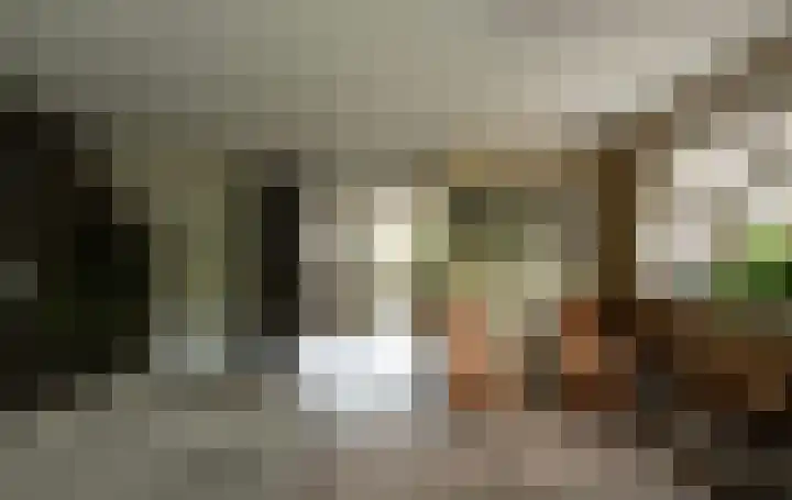 Klemstraat 21 Veenendaal thumbnail 17
