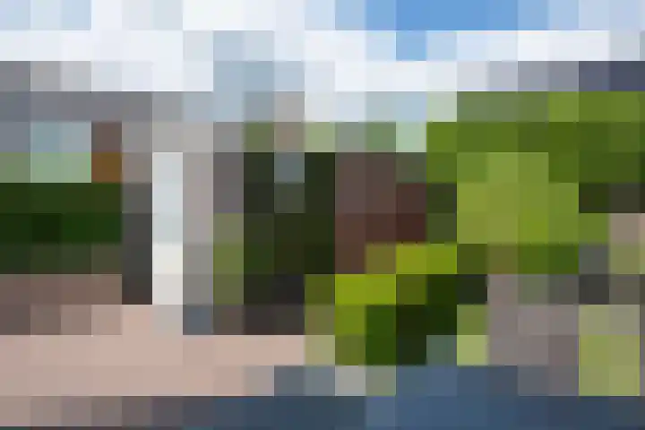 Klemstraat 21 Veenendaal thumbnail 6