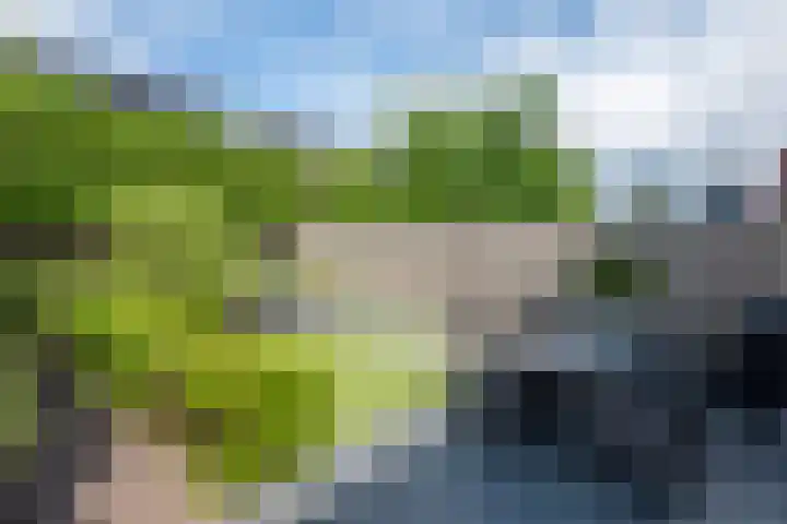 Klemstraat 21 Veenendaal thumbnail 7
