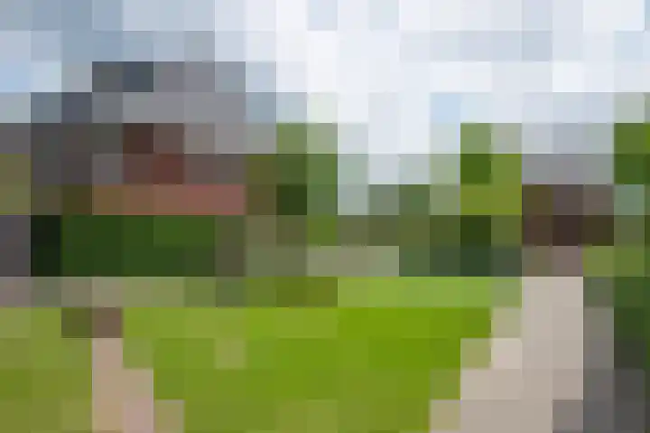 Klemstraat 21 Veenendaal thumbnail 8