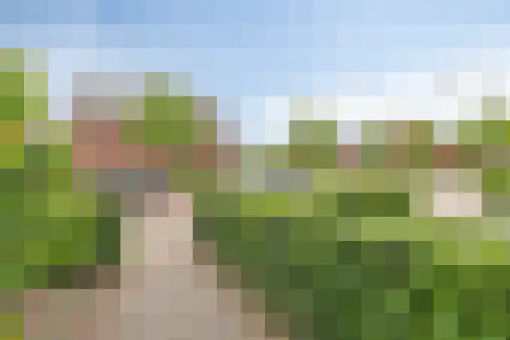 Klemstraat 31 Veenendaal thumbnail 38