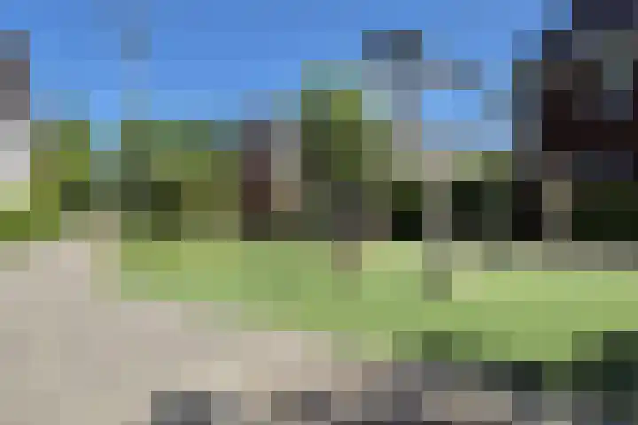 Klemstraat 31 Veenendaal thumbnail 41