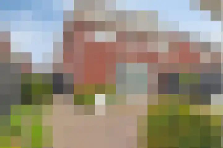 Klemstraat 31 Veenendaal thumbnail 5