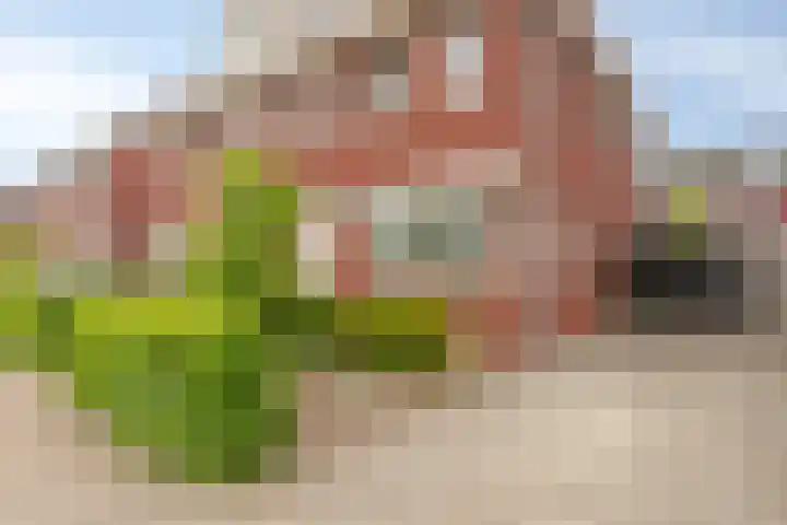 Klemstraat 31 Veenendaal thumbnail 8