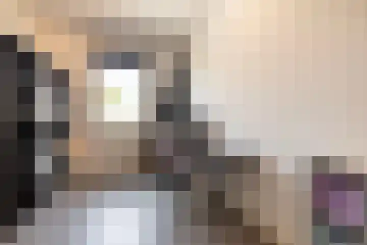 Klemstraat 5 Veenendaal thumbnail 20