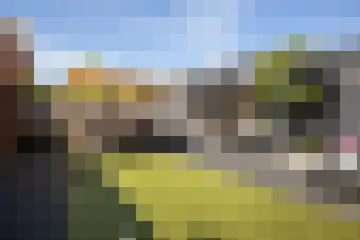 Klemstraat 5 Veenendaal thumbnail 30