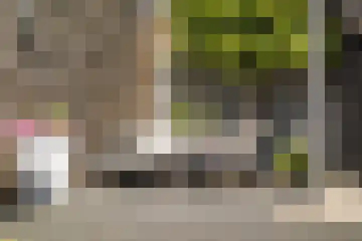 Klemstraat 5 Veenendaal thumbnail 32