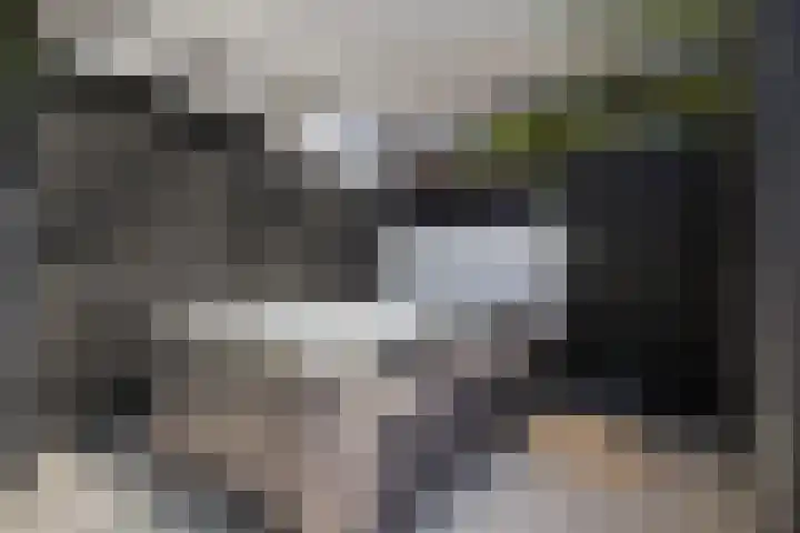 Klemstraat 5 Veenendaal thumbnail 33