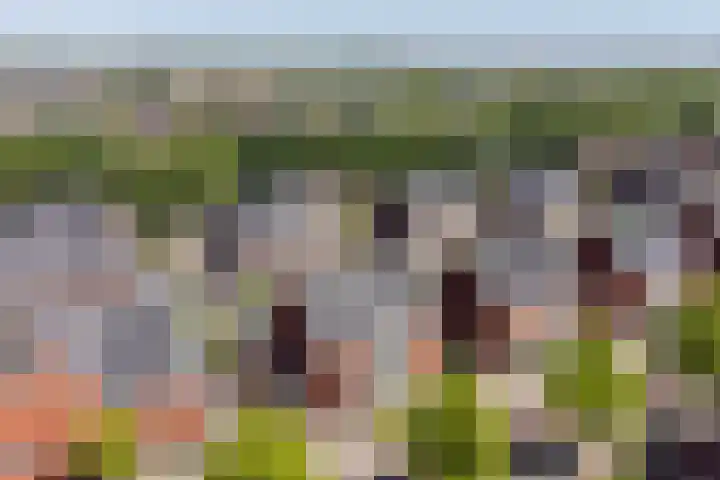Klemstraat 5 Veenendaal thumbnail 4