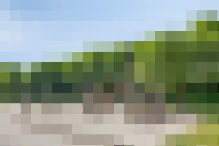 Klemstraat 7 Veenendaal thumbnail 42