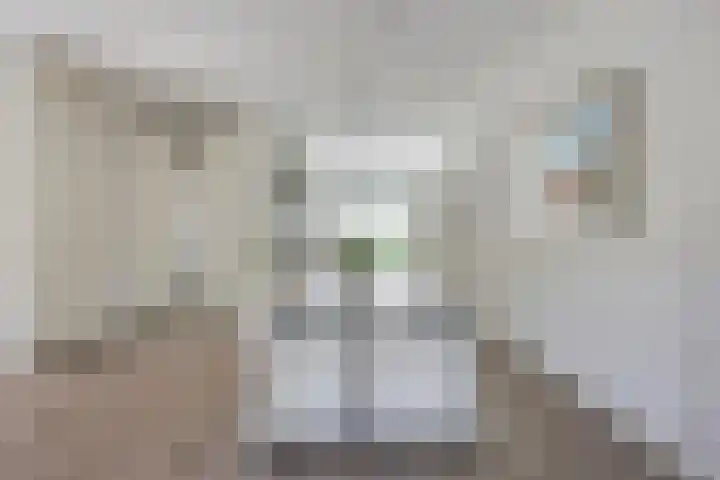 Klemstraat 7 Veenendaal thumbnail 9