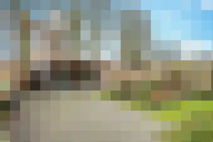 Klemvogel 39 Uden thumbnail 10