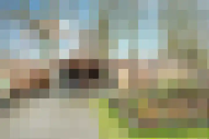 Klemvogel 39 Uden thumbnail 11