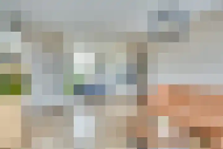 Klemvogel 39 Uden thumbnail 14