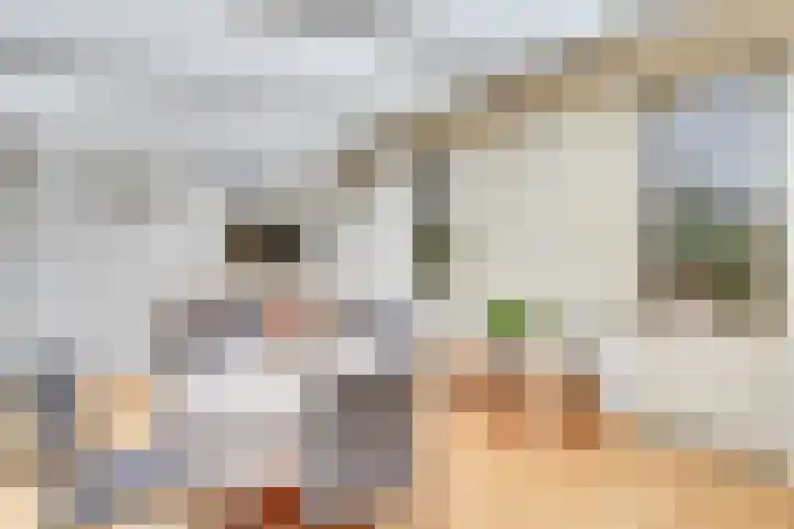 Klemvogel 39 Uden thumbnail 19