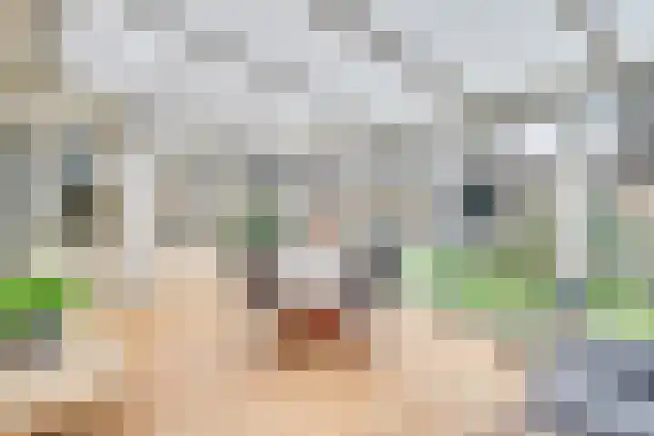 Klemvogel 39 Uden thumbnail 20