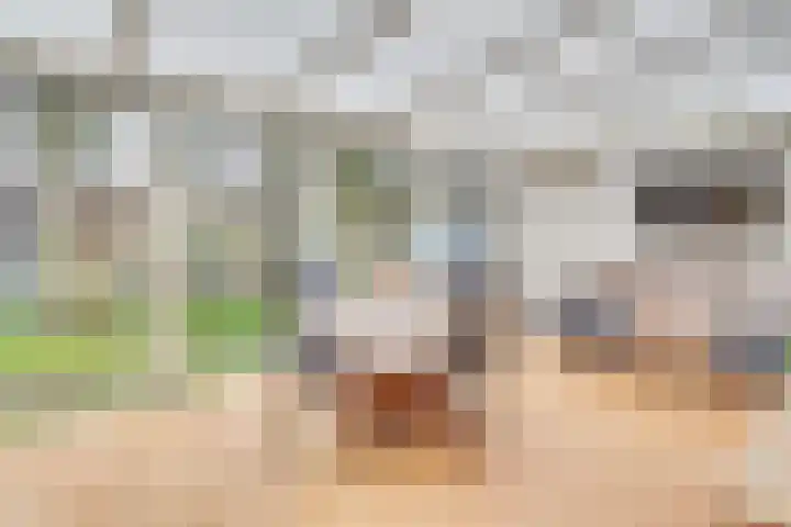 Klemvogel 39 Uden thumbnail 21