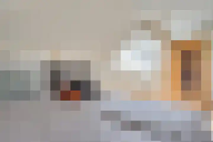 Klemvogel 39 Uden thumbnail 23