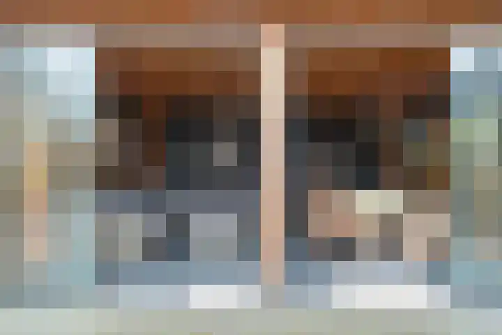 Klemvogel 39 Uden thumbnail 28