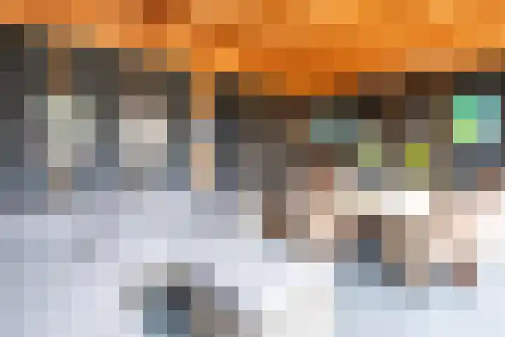 Klemvogel 39 Uden thumbnail 29