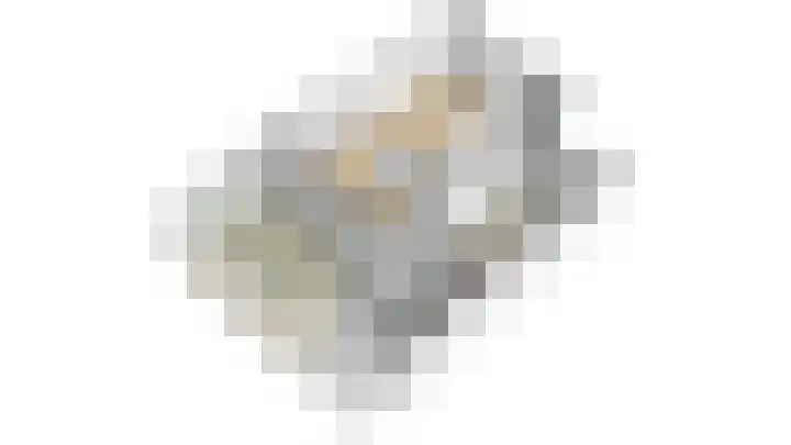 Klemvogel 39 Uden thumbnail 32