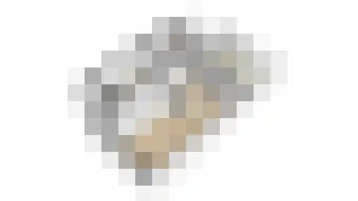 Klemvogel 39 Uden thumbnail 33